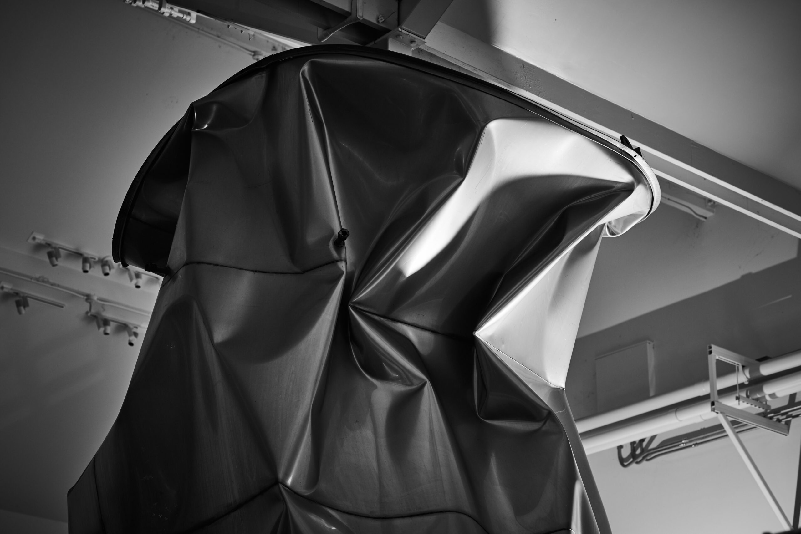 Lions Head Collection