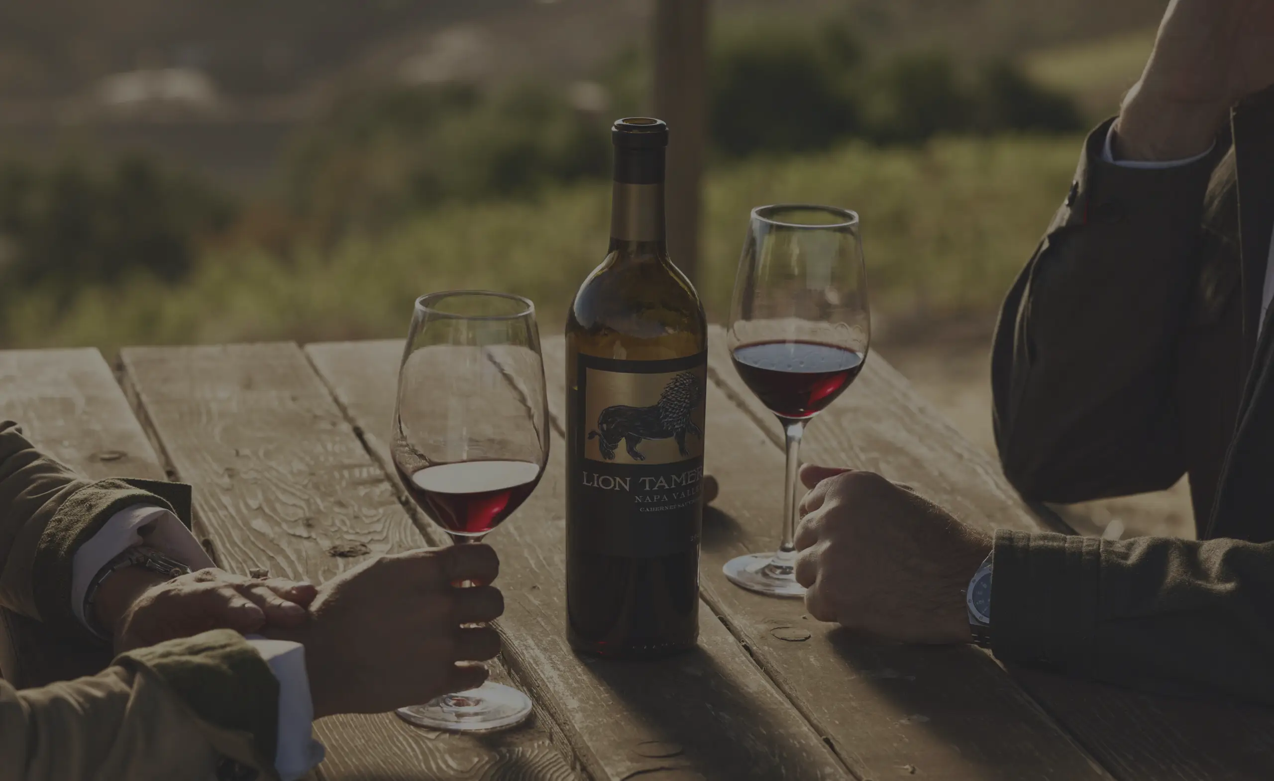Two people with glasses of white wine at a picnic table